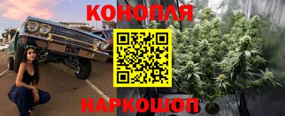 крисы Гусев