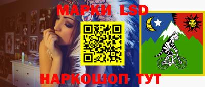 spice Гусь-Хрустальный