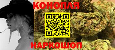 крисы Гусев