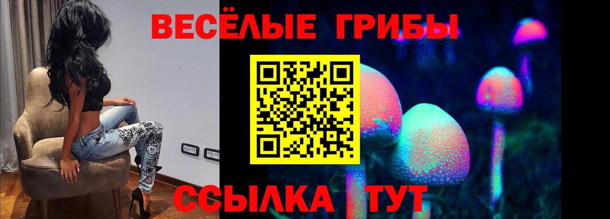 Псилоцибиновые грибы Psilocybe Нижневартовск